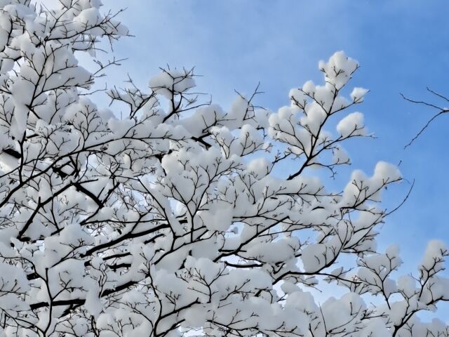【金沢積雪】除雪お疲れ様でした